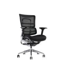 i29 Fabric & Mesh Ergonomic Office Chair | Fast Track Black Soft Weave W21a-B41 / No Headrest