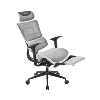 Blizzard OS-2 Ergonomic Gaming Chair