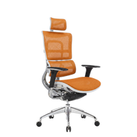 i29 Ergonomic Office Chair | Fully Bespoke